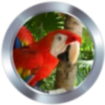 Logo of Animal Ringtones android Application 