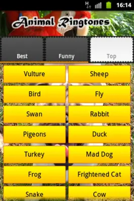 Animal Ringtones android App screenshot 2