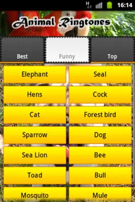 Animal Ringtones android App screenshot 3