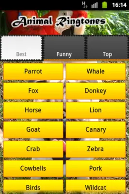 Animal Ringtones android App screenshot 4